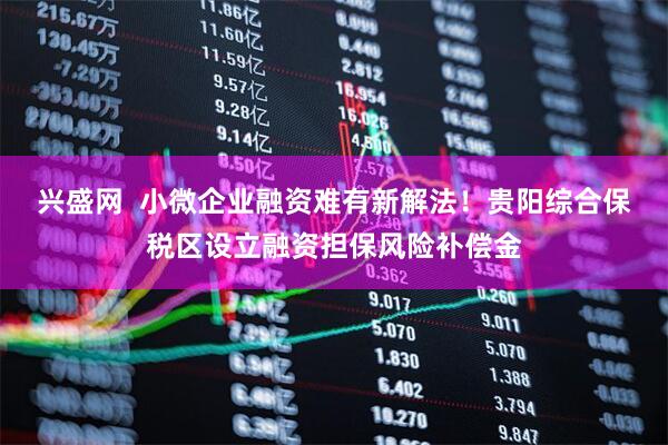 兴盛网  小微企业融资难有新解法！贵阳综合保税区设立融资担保风险补偿金