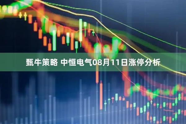 甄牛策略 中恒电气08月11日涨停分析