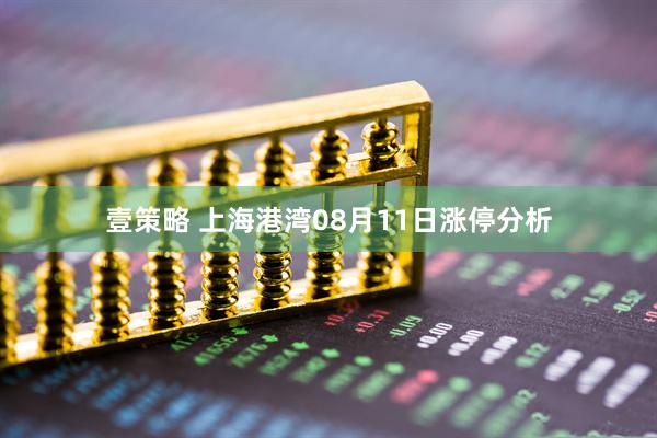 壹策略 上海港湾08月11日涨停分析